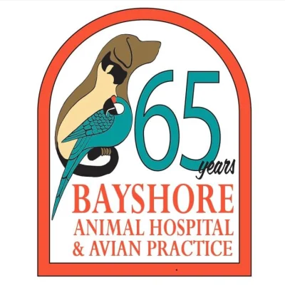 Bayshore Animal Hospital & Avian Practice