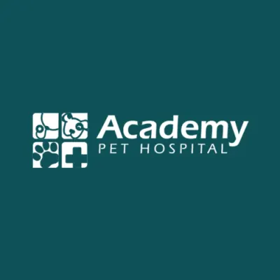 Academy Pet Hospital