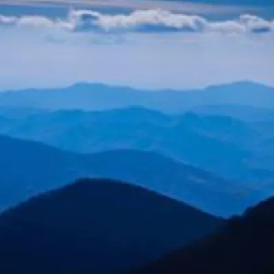 BLUE RIDGE PSYCHOLOGICAL CENTER