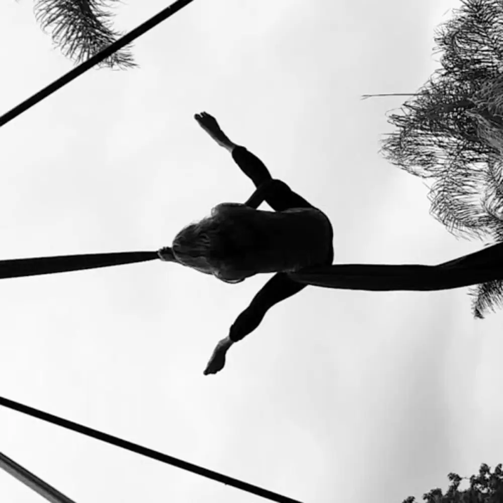 Freedom Aerial Fitness