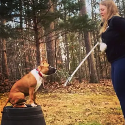 Pack Rules Dog Training