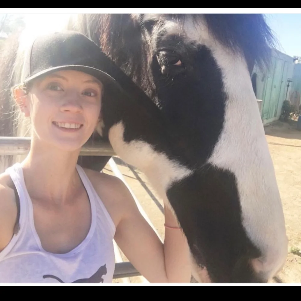 Universal Riding Lessons