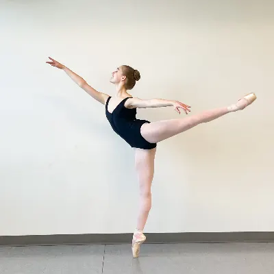 Berks Ballet Theatre Conservatory Of Dance