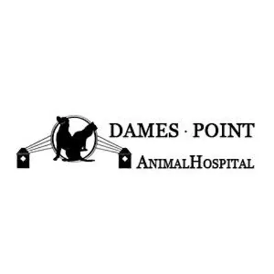 Dames Point Animal Hospital