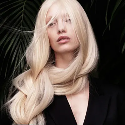 Extensions By Holly