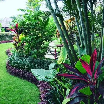 Tropical Landscaping