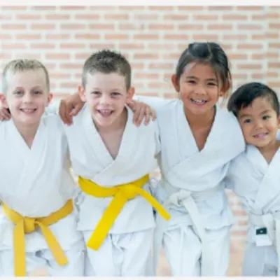 Gold Medal Martial Arts In Mountain View