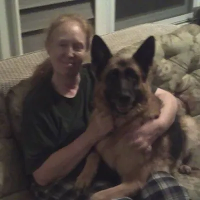 All-Breed Dog Trainer & Breeder Of German Shepherds