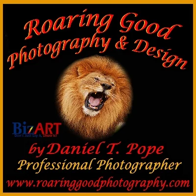 Roaring Good Photography