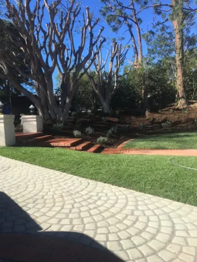 Connor's Landscape