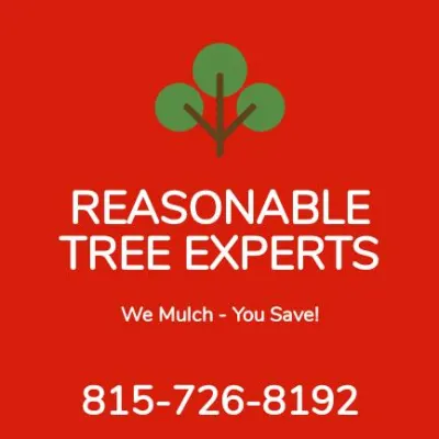 Reasonable Tree Experts