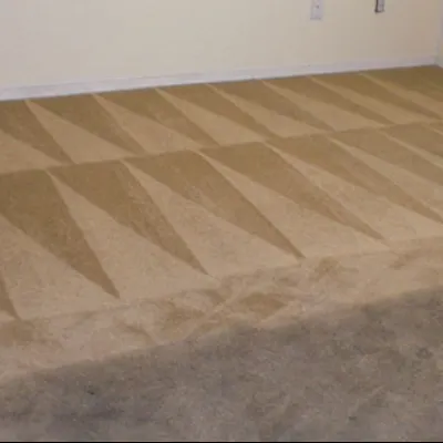 GreenWorks Carpet Cleaning