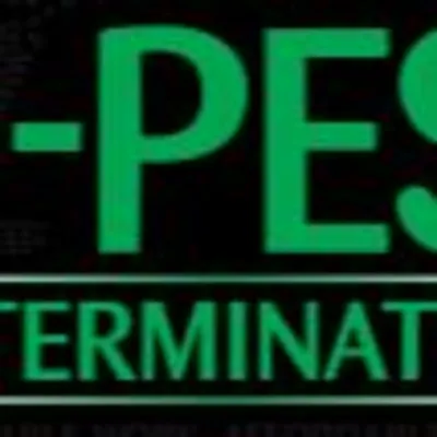 EZ Bed Bug Exterminator NYC