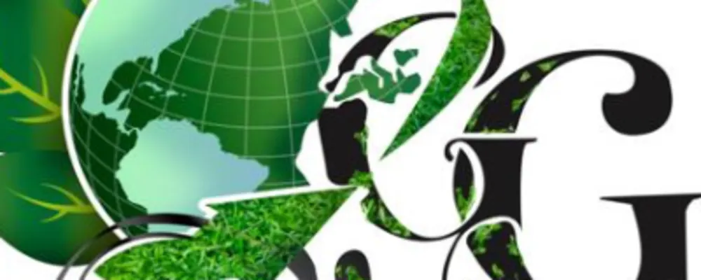 Grow Green Lawn Care LLC