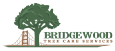 Bridgewood Tree Care Services