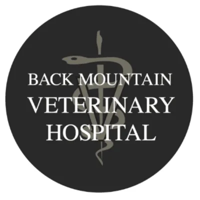 Back Mountain Veterinary Hospital