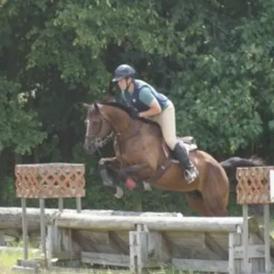Dynamic Solutions Equestrian