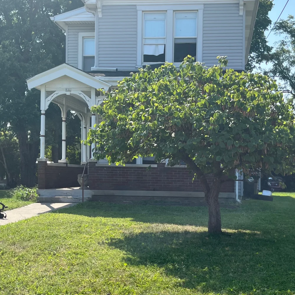 Castro Lawn Serviced