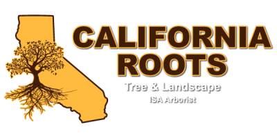 California Roots Tree & Landscape