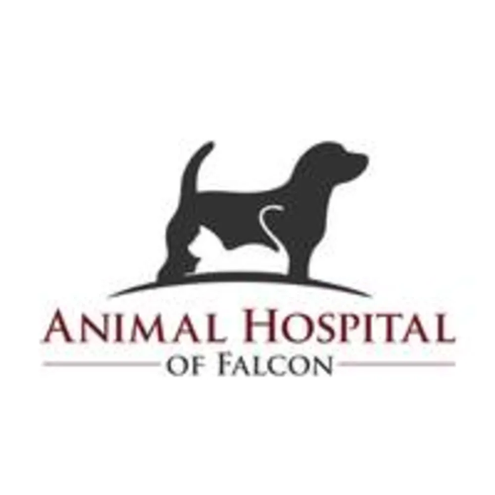Animal Hospital Of Falcon