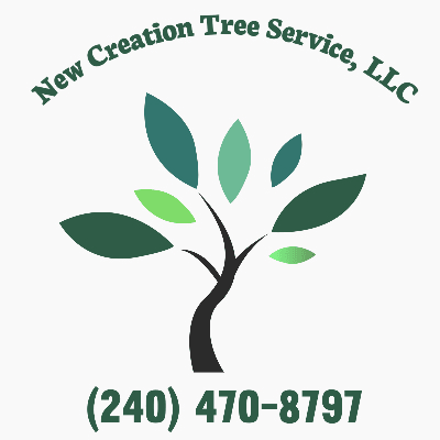New Creation Tree Service