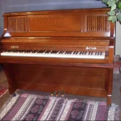 Private Piano Instruction In YOUR HOME