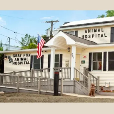 Gray Fox Animal Hospital, LLC