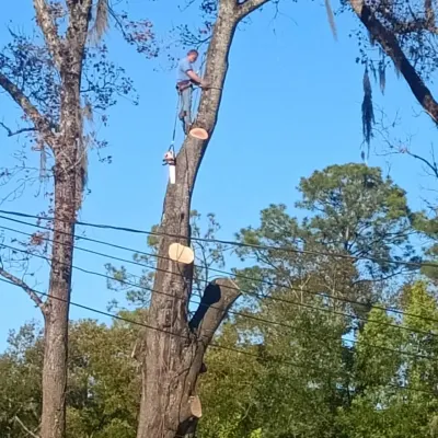 Triple A Tree Service