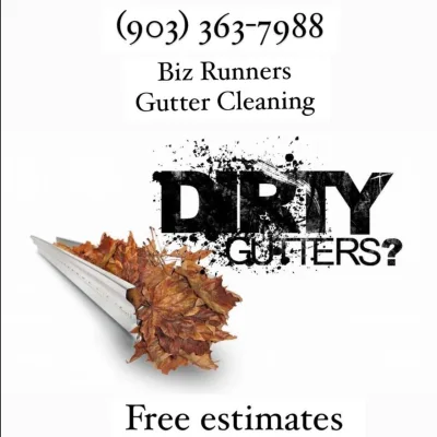 BizRunners Gutter Cleaning