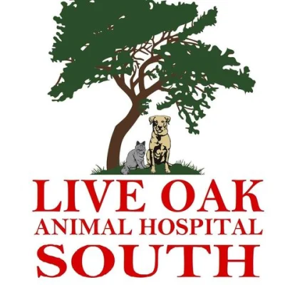 Live Oak Animal Hospital South