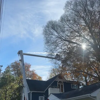 Alpha Alliance Construction 