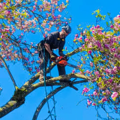 A&D Tree Care Service