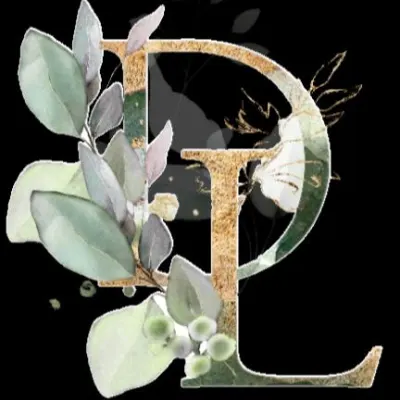 Divinity Landscapes, LLC