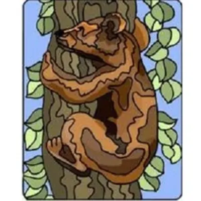 J-Bear's Tree Care And Landscaping, LLC