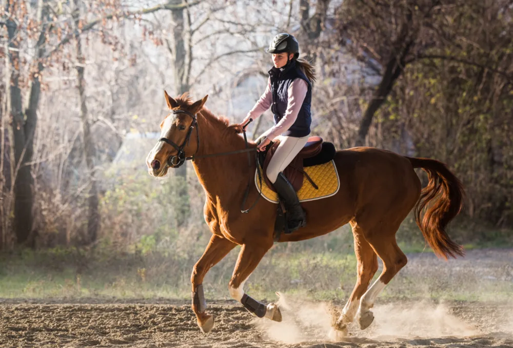 Peninsula Riding Academy