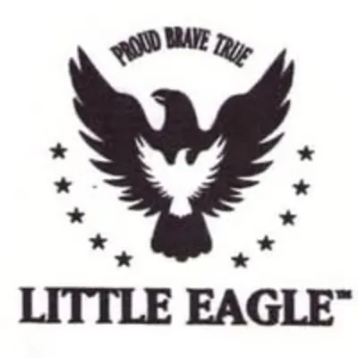 Little Eagle Preschool & Childcare