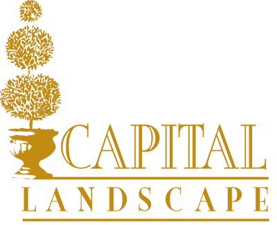 Capital Landscape