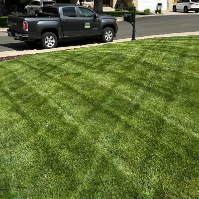 Nature's Lawn Care
