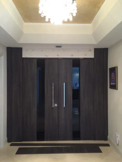 DAYORIS Custom Doors