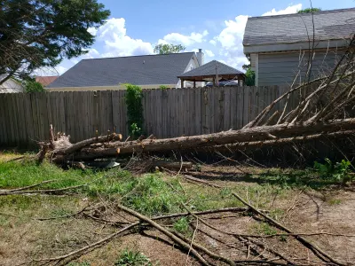 WT & J LAWNCARE SERVICES