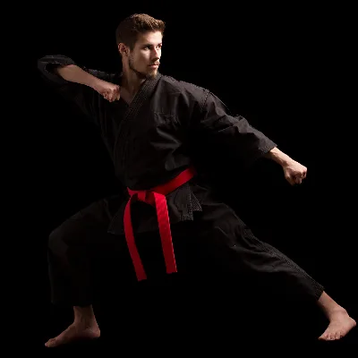 Zanshin Karate, Kenpo, Jiu Jitsu & Traditional Japanese Weapon Of Billerica