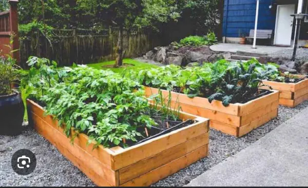 Raised Garden Beds