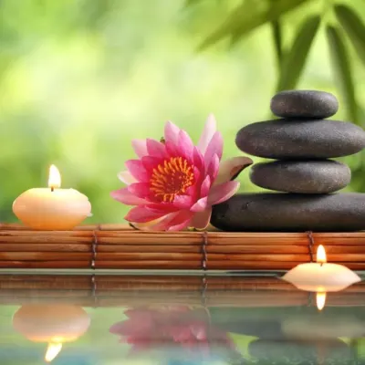 Massage Therapist