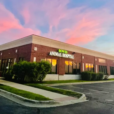 Bowes Animal Hospital