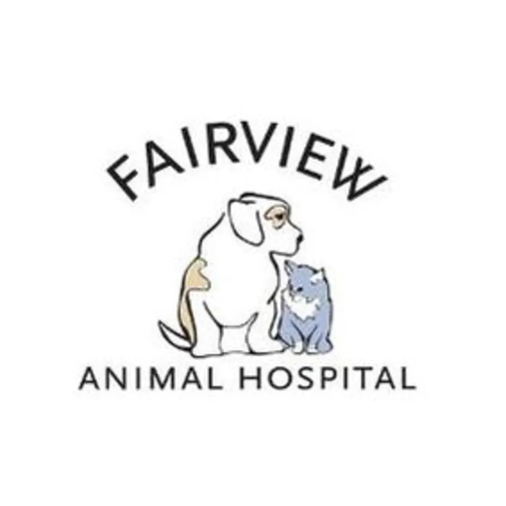 Fairview Animal Hospital