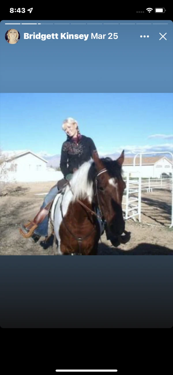 Working with a friends horse in Pahrump