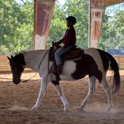 Underthesonhorsemanship