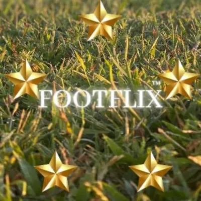 Footflix LLC. Find Us On Facebook, Thank You For Your Time!