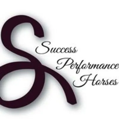 Success Performance Horses