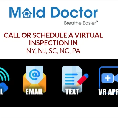 Mold Doctor